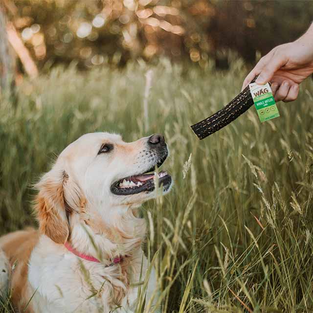 Wag Dog Treats